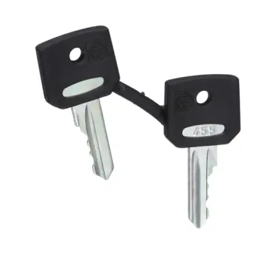 ZBG455 - Set Of Key N 455 - Schneider Electric