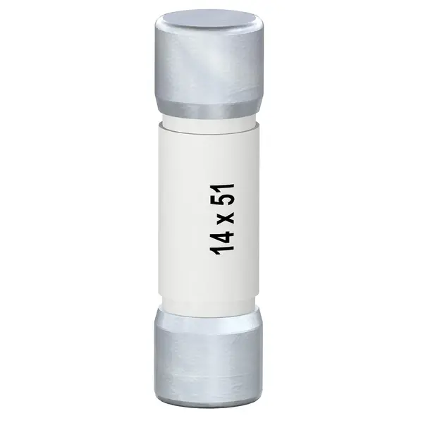 Schneider Electric - 15763 - Box of 10 aM fuse 14X51 32A - 1