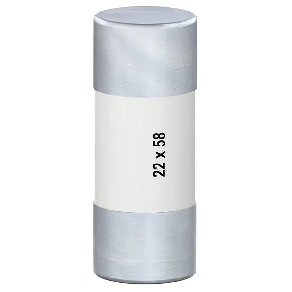 Schneider Electric - 15794 - Box of 10 gG fuse 22X58 32A - 1