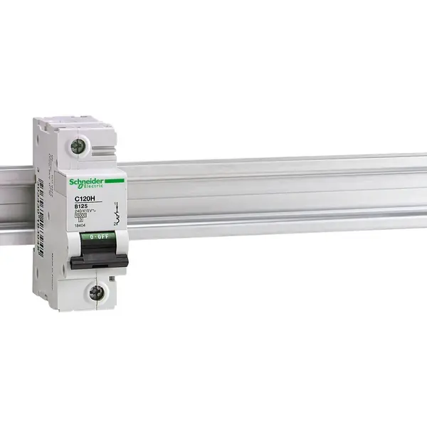 Schneider Electric - 18447 - C120H 1P 100A C - 1
