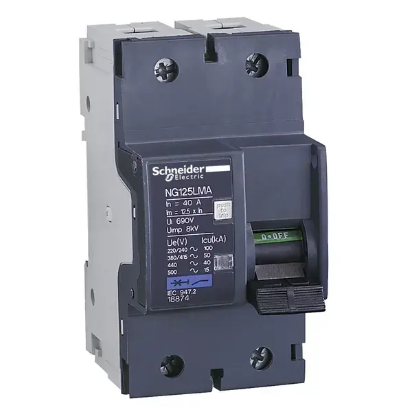 Schneider Electric - 18870 - NG125L 2P 10A MA - 1