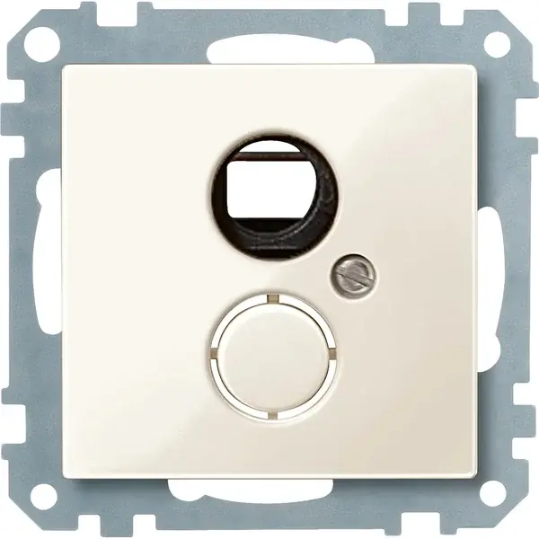 Schneider Electric - 290344 - Carrying frame with central plate for in - 1