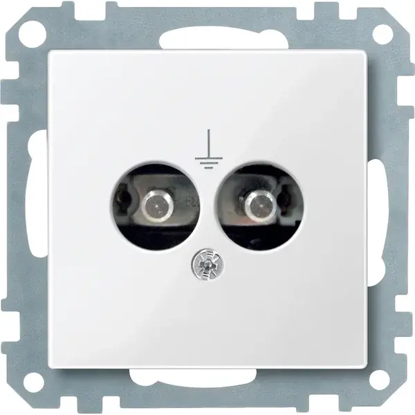 Schneider Electric - 290419 - Potential equalisation socket-outlet ins - 1