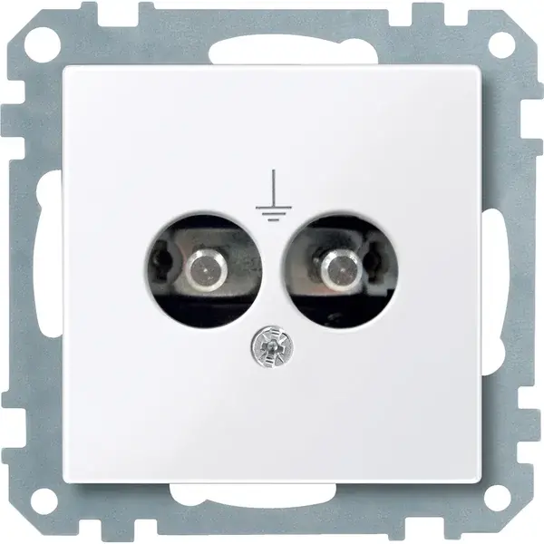 Schneider Electric - 290425 - Potential equalisation socket-outlet ins - 1