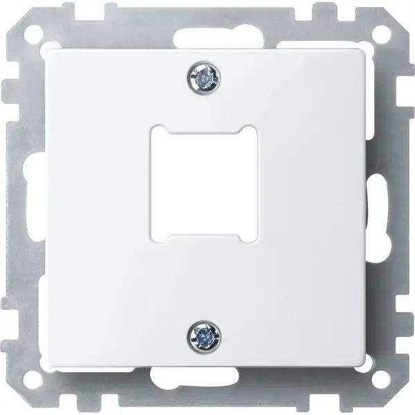 Schneider Electric - 291519 - Central plate for RJ 11/RJ 45 insert, 1- - 1