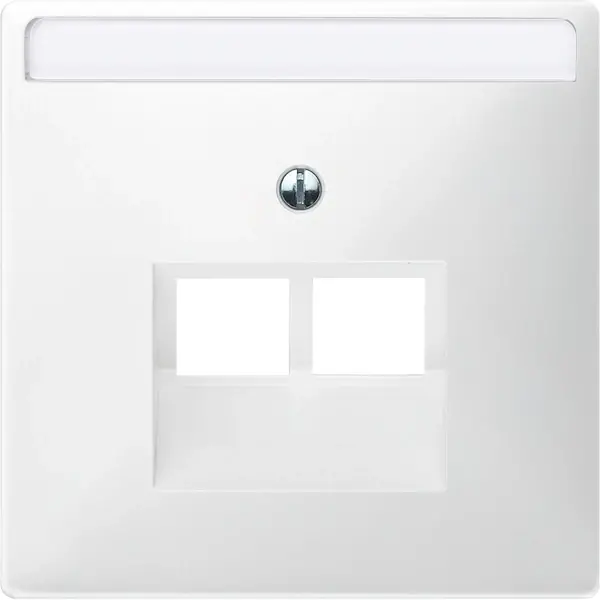 Schneider Electric - 292619 - Central plate for RJ45 insert, 2-gang - 1