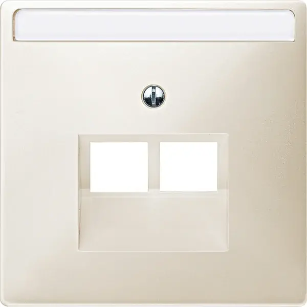 Schneider Electric - 292644 - Central plate for RJ45 insert, 2-gang - 1