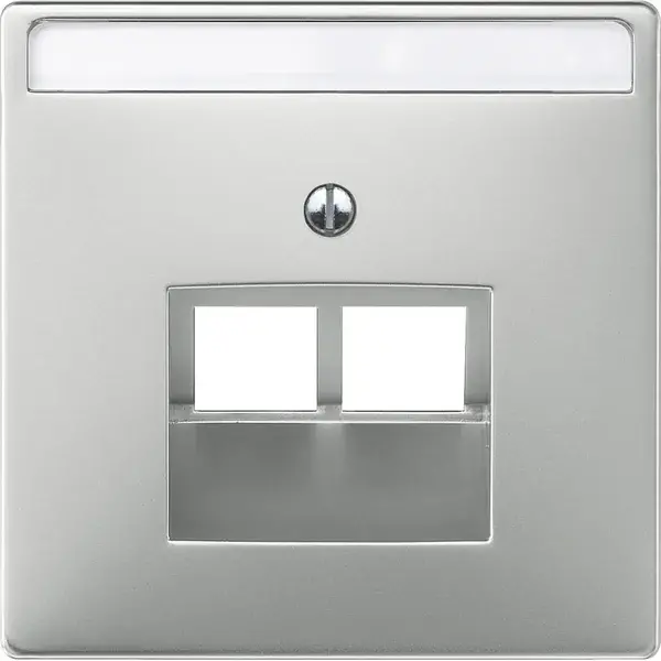 Schneider Electric - 292646 - Central plate for RJ45 insert, 2-gang - 1