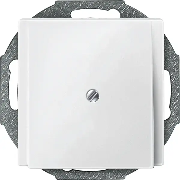 Schneider Electric - 295619 - Central plate for cable outlet - 1