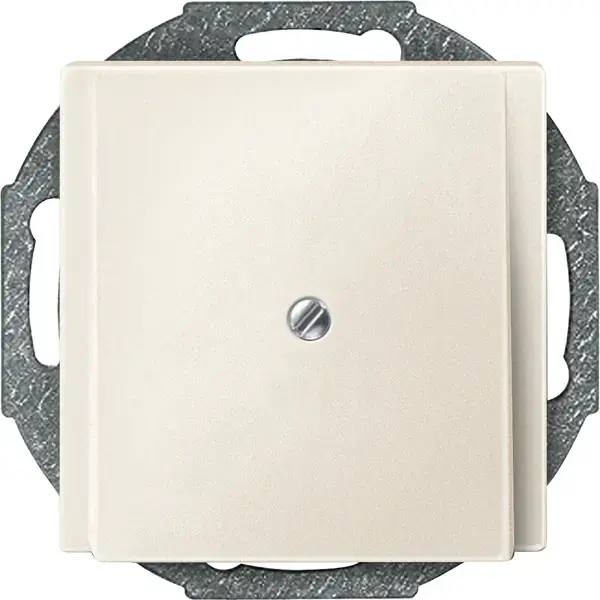Schneider Electric - 295644 - Central plate for cable outlet - 1