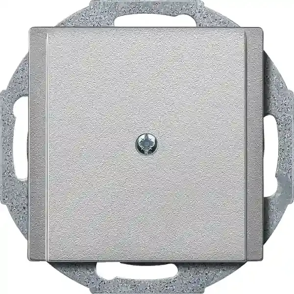 Schneider Electric - 295660 - Central plate for cable outlet - 1