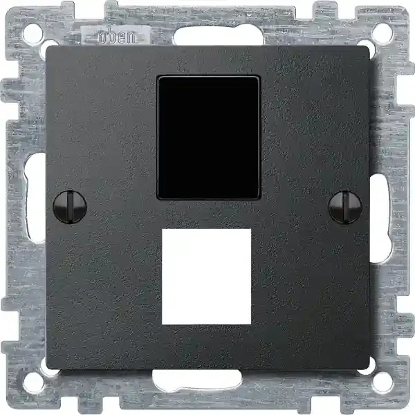Schneider Electric - 295714 - Central plate for modular jack connector - 1