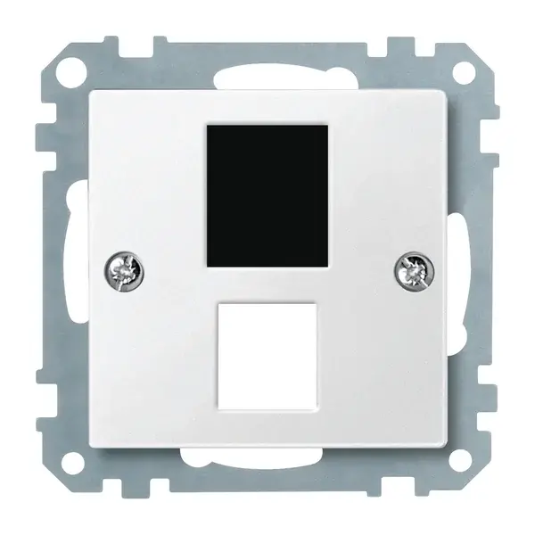 Schneider Electric - 295719 - Central plate for modular jack connector - 1