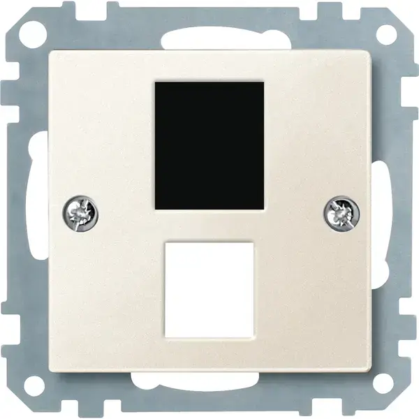 Schneider Electric - 295744 - Central plate for modular jack connector - 1