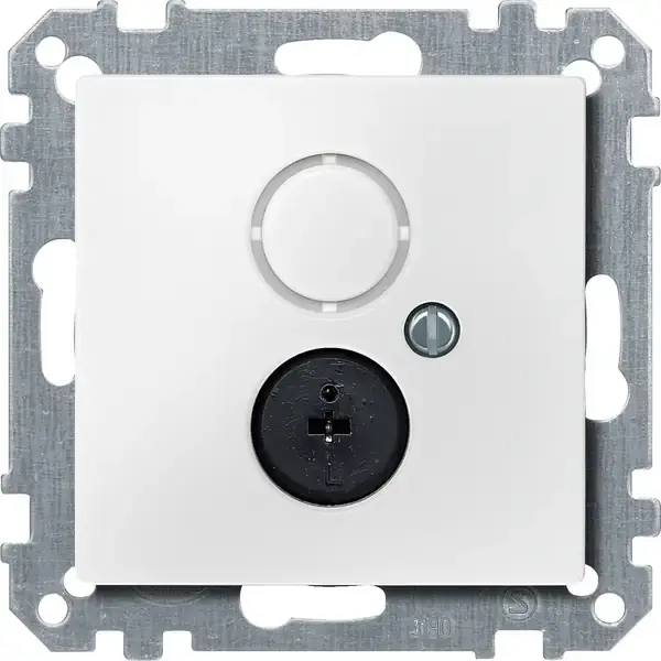 Schneider Electric - 295919 - Loudspeaker socket-outlet insert - 1
