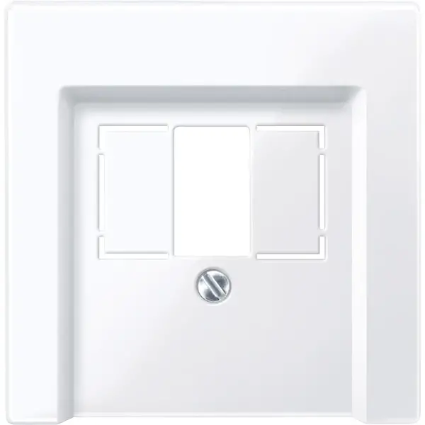 Schneider Electric - 296025 - Central plate for telephone socket-outle - 1
