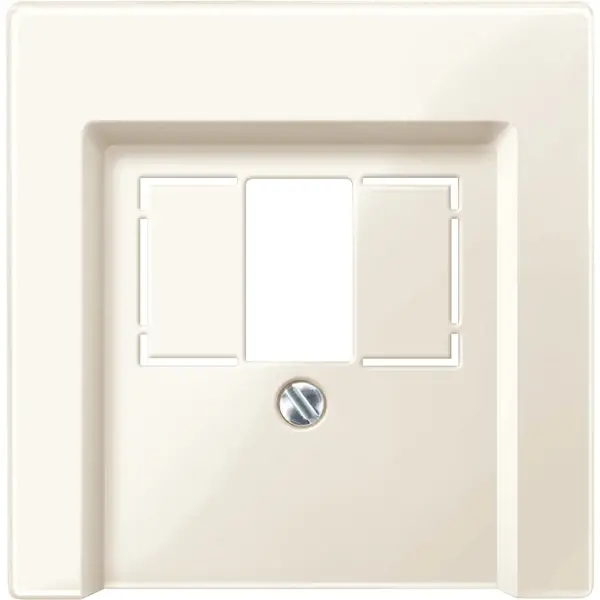 Schneider Electric - 296044 - Central plate for telephone socket-outle - 1