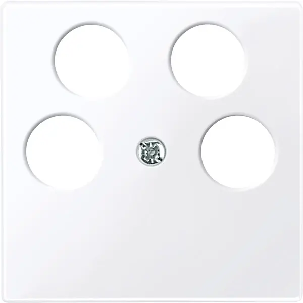 Schneider Electric - 296525 - Central plate for Ankaro 4-gang antenna - 1
