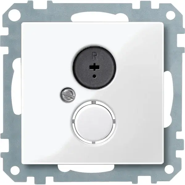Schneider Electric - 296919 - Loudspeaker socket-outlet insert - 1