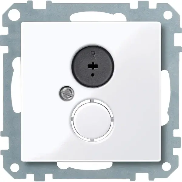 Schneider Electric - 296925 - Loudspeaker socket-outlet insert - 1
