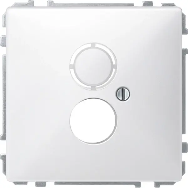 Schneider Electric - 297719 - Carrying frame with central plate for in - 1