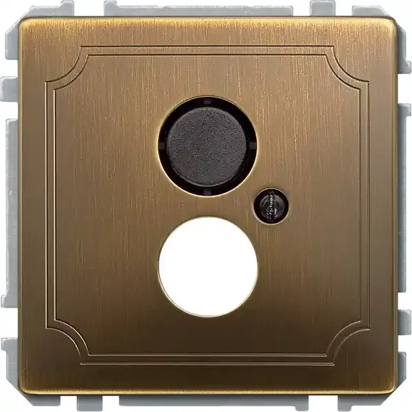 Schneider Electric - 297743 - Carrying frame with central plate for in - 1