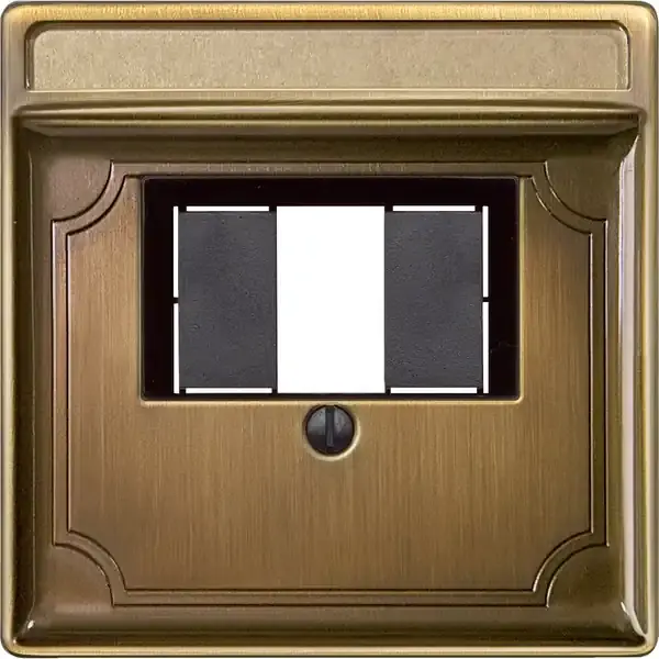 Schneider Electric - 297843 - Central plate for telephone socket-outle - 1