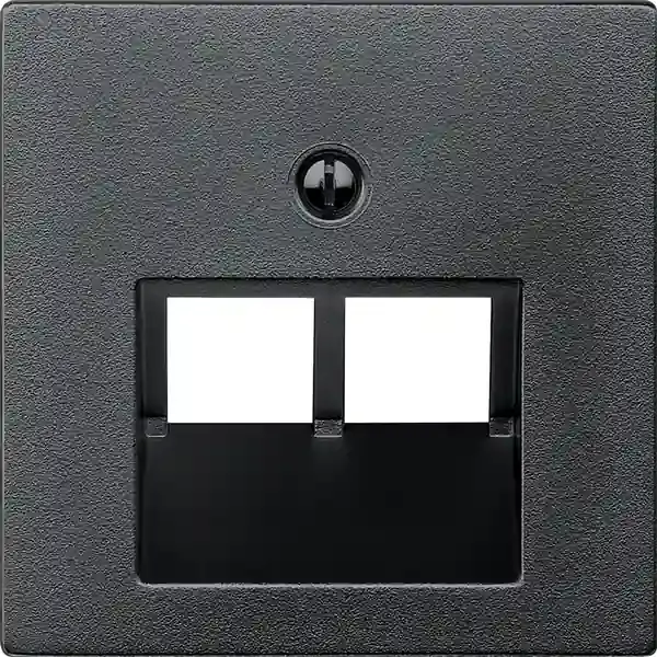 Schneider Electric - 298014 - Central plate for RJ45 insert, 2-gang - 1