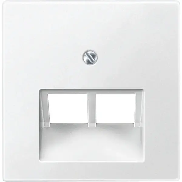 Schneider Electric - 298019 - Central plate for RJ45 insert, 2-gang - 1