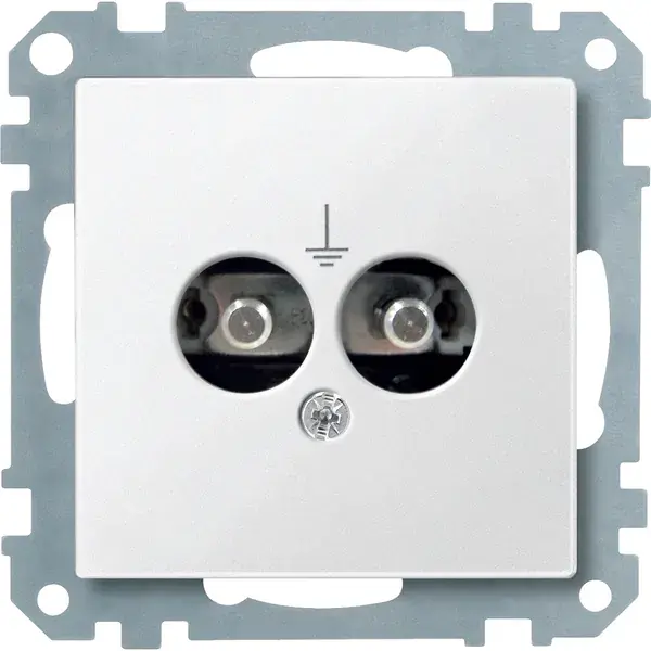 Schneider Electric - 298219 - Potential equalisation socket-outlet ins - 1