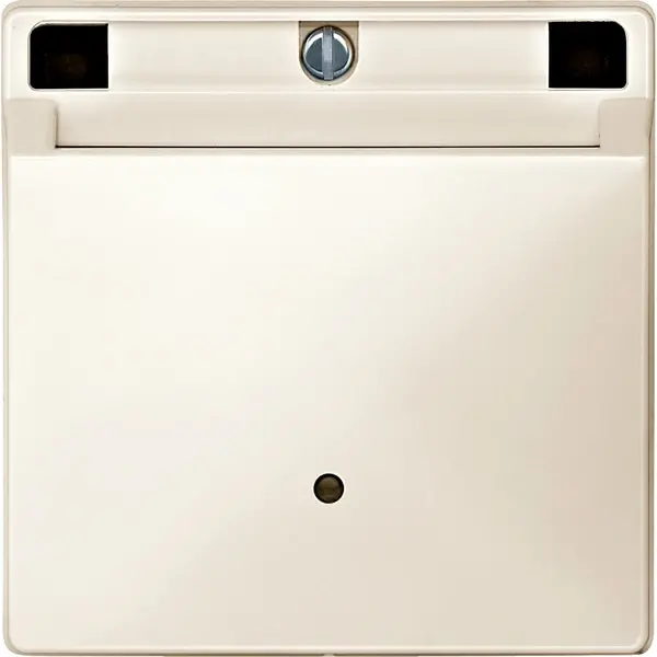Schneider Electric - 315344 - Hotel keycard holder - 1