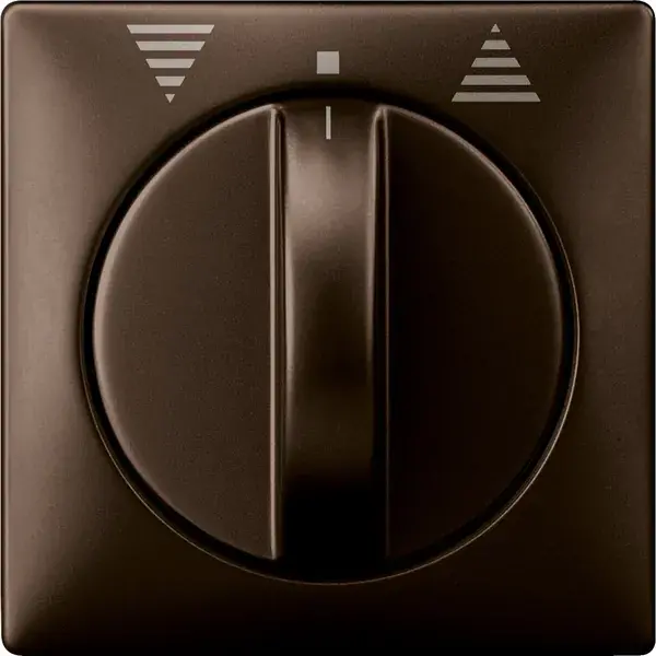 Schneider Electric - 319215 - Central plate for momentary/maintained-c - 1