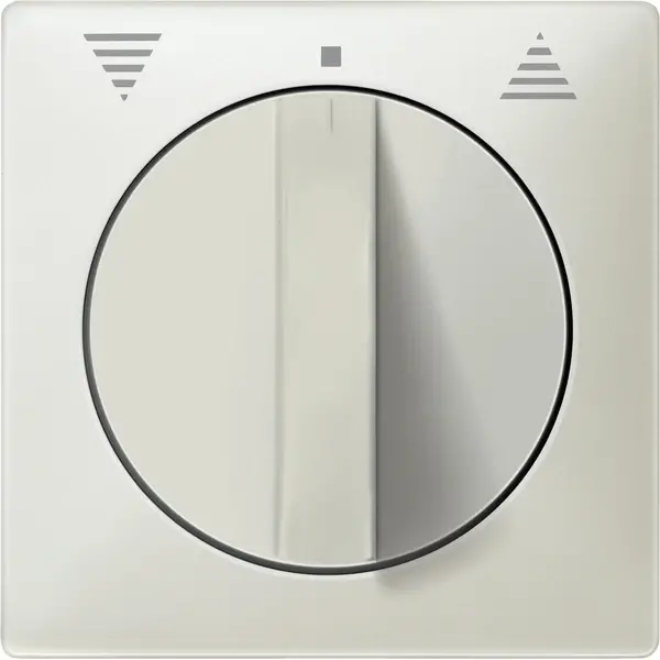 Schneider Electric - 319229 - Central plate for momentary/maintained-c - 1