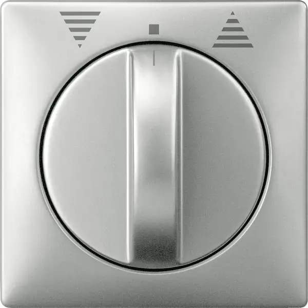 Schneider Electric - 319246 - Central plate for momentary/maintained-c - 1