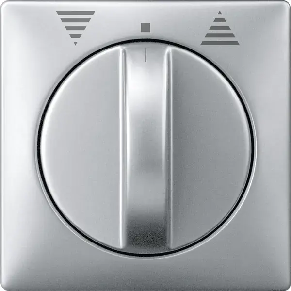 Schneider Electric - 319260 - Central plate for momentary/maintained-c - 1