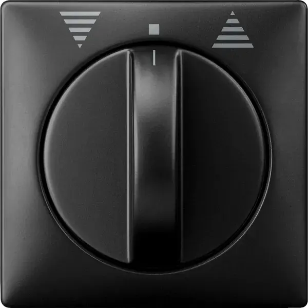 Schneider Electric - 319269 - Central plate for momentary/maintained-c - 1