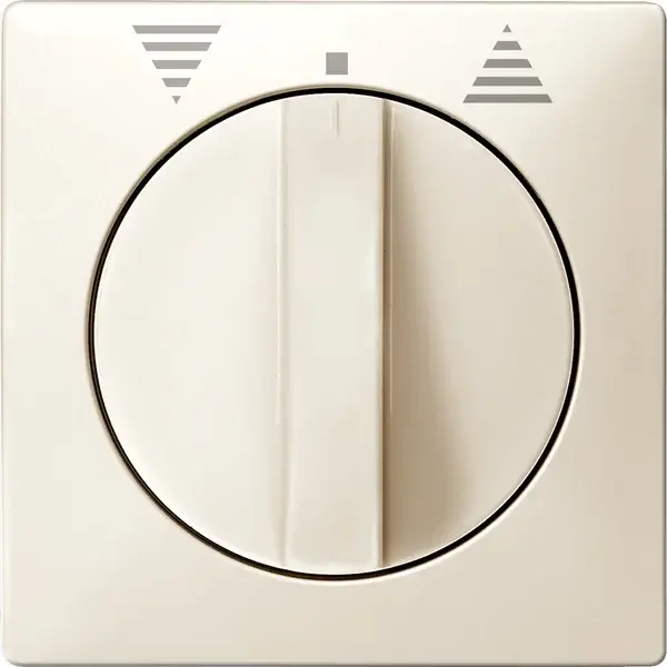 Schneider Electric - 319294 - Central plate for momentary/maintained-c - 1