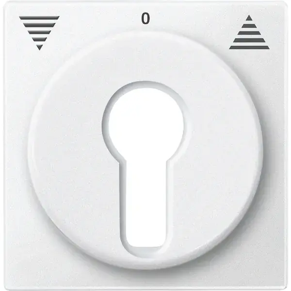 Schneider Electric - 319319 - Central plate for momentary/maintained-c - 1