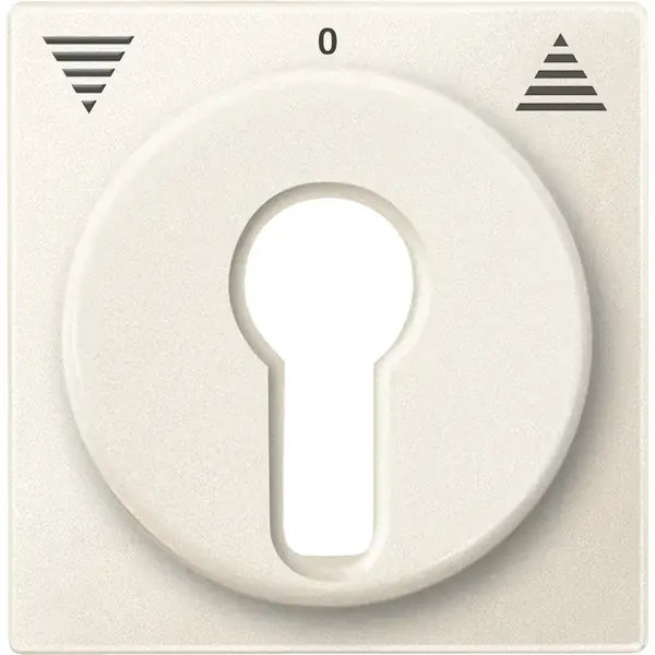 Schneider Electric - 319344 - Central plate for momentary/maintained-c - 1