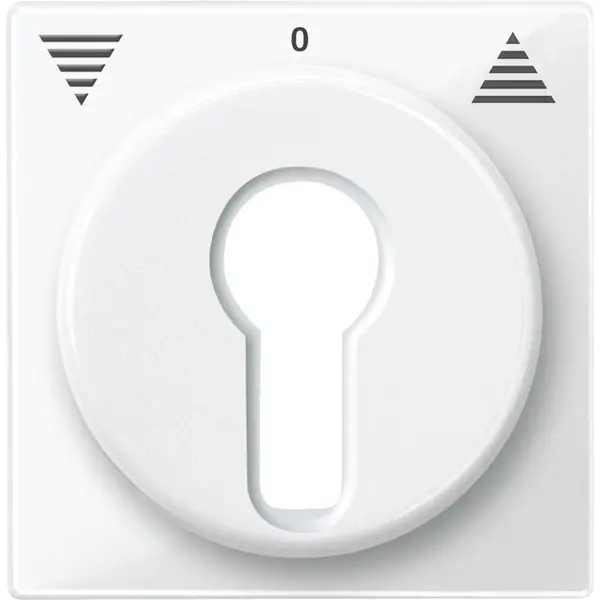 Schneider Electric - 319419 - Central plate for momentary/maintained-c - 1