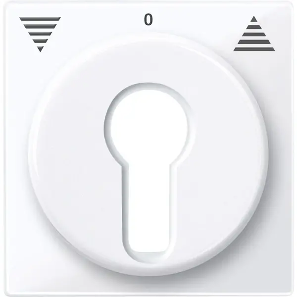 Schneider Electric - 319425 - Central plate for momentary/maintained-c - 1