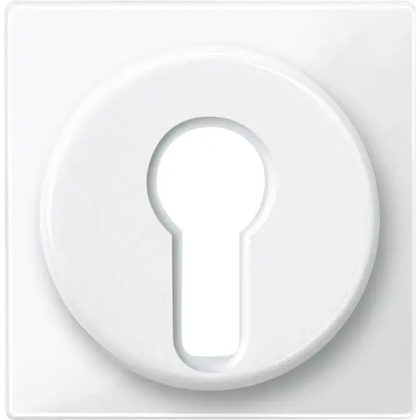 Schneider Electric - 319519 - Central plate for two-way maintained-con - 1