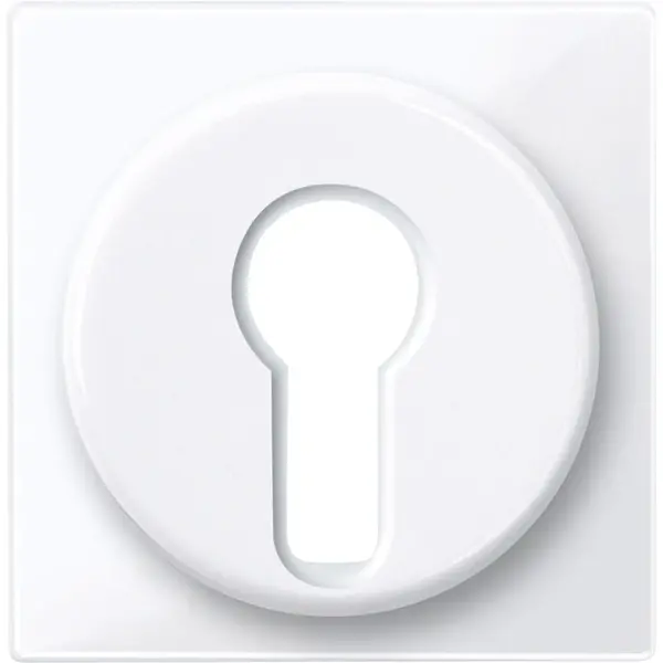 Schneider Electric - 319525 - Central plate for two-way maintained-con - 1