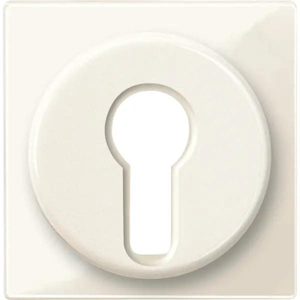 Schneider Electric - 319544 - Central plate for two-way maintained-con - 1