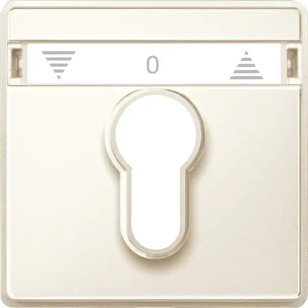 Schneider Electric - 348244 - Central plate for momentary/maintained-c - 1