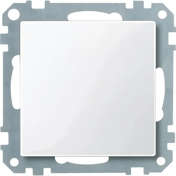 Schneider Electric - 391619 - Blanking cover - 1