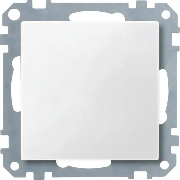Schneider Electric - 391719 - Blanking cover - 1