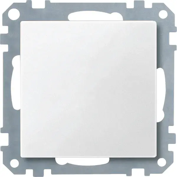 Schneider Electric - 391819 - Blanking cover - 1