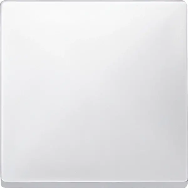 Schneider Electric - 412119 - Rocker, Polar White, System Design - 1