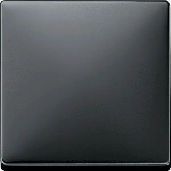 Schneider Electric - 412169 - Rocker, Black Grey, System Design - 1